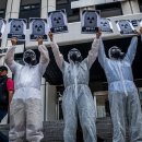 시크릿PC (인-294) 이미지