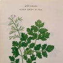(주)코리앤더 이미지