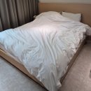 호텔 브라운 도트(온천점) | 대전 흠뻑쇼 숙소 추천｜브라운도트 호텔 유성온천점, 젖은 옷까지 말린 솔직 후기
