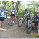 거북이 주유소 이미지