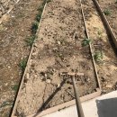 팜프라촌 이미지