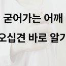 해운대코끼리정형외과의원 이미지
