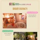 캐슬 테라스(Castle Terrace) | 🧙🏻‍♀️위키드 포굿 팝업 기본 정보&amp;후기 | 📍스타필드 코엑스몰