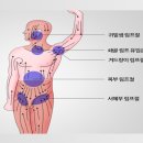 피티공 필라테스 PT 이미지
