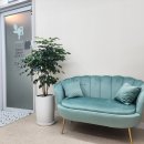 세신샵 바디 이미지