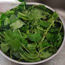 세국농장 이미지