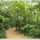 아카시아병원 이미지