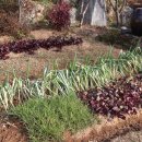 울산추어탕 이미지