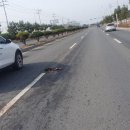 월전로 3 이미지