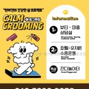 캄그루밍 | 캄그루밍 애견유치원 애견호텔 팔공점 아이와 함께한 특별한 경험
