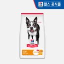 우리강아지 이미지