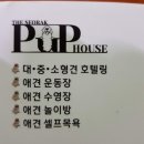 조이 애견 유치원 이미지