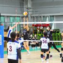 인제체육관 이미지