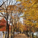 춘천의 공천의 겨울~그리고 가을풍광 이미지