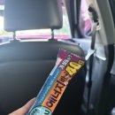 하모이삼로 | [6th 여행] #3. 2025년 제주 워홀로 즐기는 로컬생활 1기 6~7일차｜25.08.31. - 25.09.17.