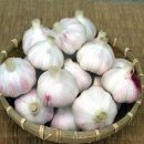 정우식품 이미지