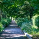 효원주유소 이미지