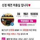 신정애견미용 이미지