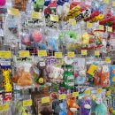 펫마트서동점 | 땜빵이가 좋아하는 간식과 장난감 사러 펫마트 울산서동점 다녀왔어요