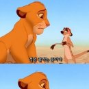폴레폴레 이미지
