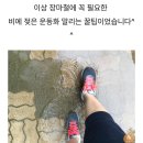 장마철 젖은 운동화 빠르게 냄새없이 말리는 꿀팁 이미지