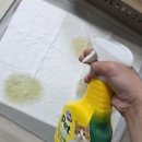 [유한크로락스펫] 강아지 고양이 냄새 및 얼룩제거제 여름에 오줌냄새 없애기 최고에요