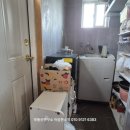 용성미산숲 이미지