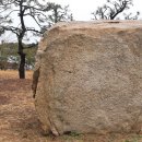 대왕암솔바람길 이미지