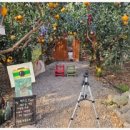 코코농원2 이미지