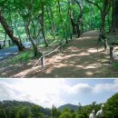 (여행.트레킹) 강원도 홍천군 동면 공작산 수타사 생태숲 이미지