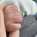 기화농장 | 대전 근교 논산딸기체험장 또로롱딸기 아이랑 딸기따기 체험 후기