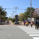 하단동1233 이미지