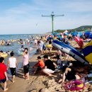 바다민원실 이미지