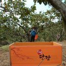 주촌농장 이미지