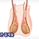 엘비뇨기과의원 이미지