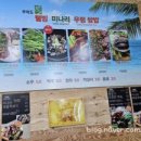 무의도맛집 웰빙미나리쌈밥