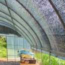 김현숙농장 이미지