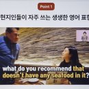 생활영어회화 (초중급) 이미지