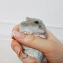 두리비어주 네이버블로그