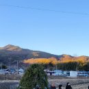 진마루마을 이미지