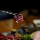 다운참치 이미지