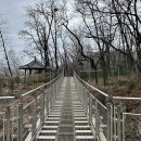 두 Y자(평일) 이미지