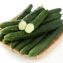 중앙채소 이미지
