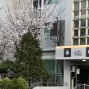 송화강반점 이미지