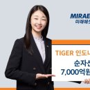 50 이미지