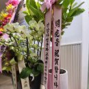 국제교육연구원 이미지