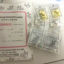 닥터코기동물병원 이미지