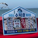 수덕호 | [당진 가볼만한 곳] 왜목마을 이색횟집 수덕호 후기 :) 바다 위에서 즐긴 특별한 선상횟집