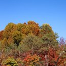 탄금공원 이미지