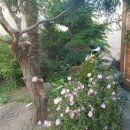 쉼 민박 이미지